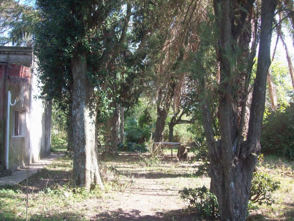 VENDO CASA QUINTA - Ref. 186