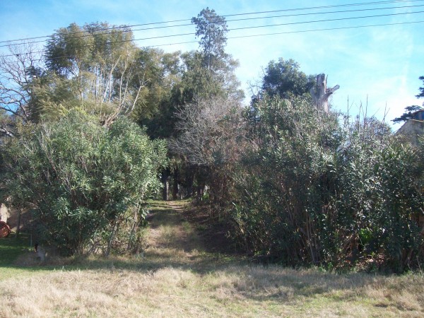 VENDO CASA QUINTA - Ref. 186
