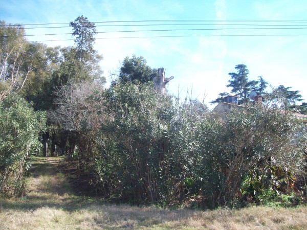 VENDO CASA QUINTA - Ref. 186
