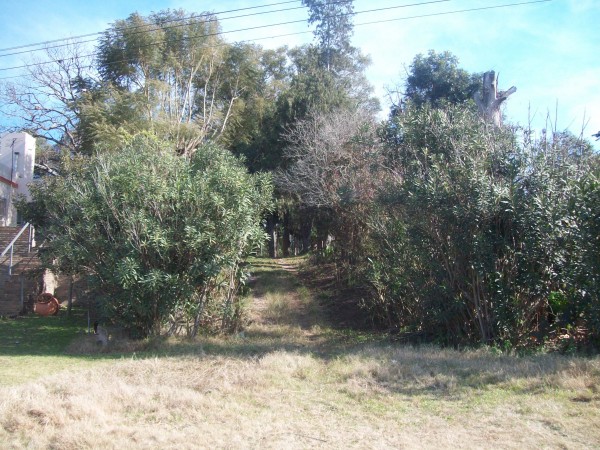 VENDO CASA QUINTA - Ref. 186
