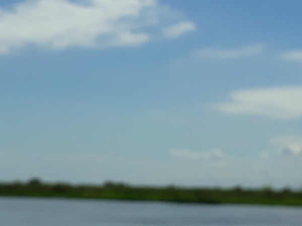 VENDO ISLA  - CORONDA - REF: 299