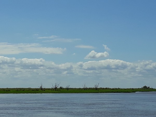 VENDO ISLA  - CORONDA - REF: 299