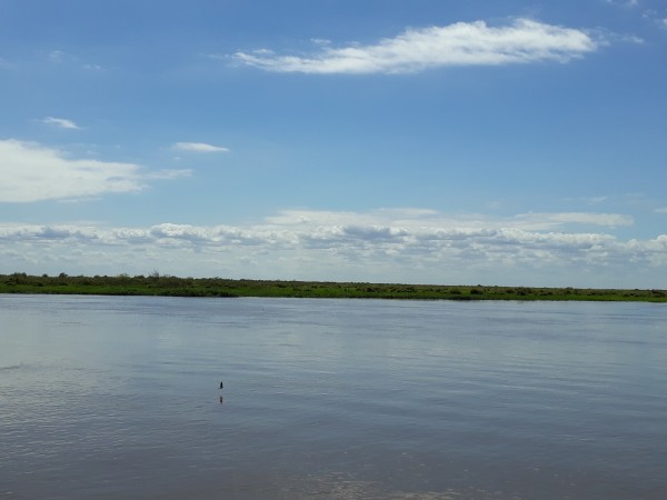VENDO ISLA  - CORONDA - REF: 299