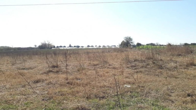EN VENTA 1,6 Has. DE TIERRA APTA PARA FRUTICULTURA. Ref: 538