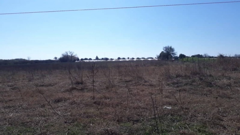EN VENTA 1,6 Has. DE TIERRA APTA PARA FRUTICULTURA. Ref: 538