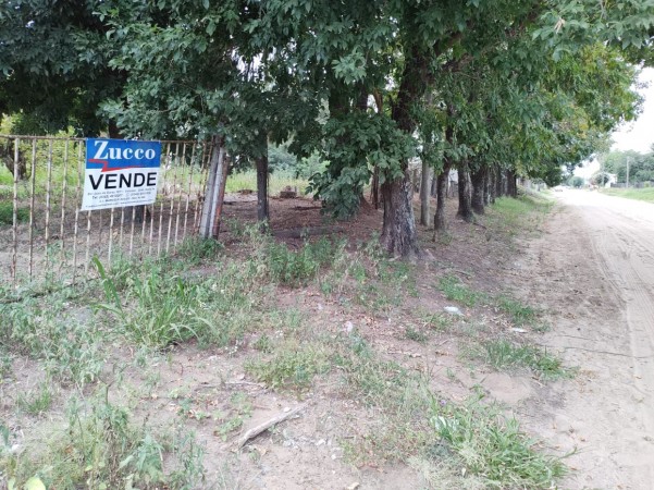 VENDO TERRENO - CORONDA - REF: 711