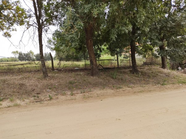 VENDO TERRENO - CORONDA - REF: 711