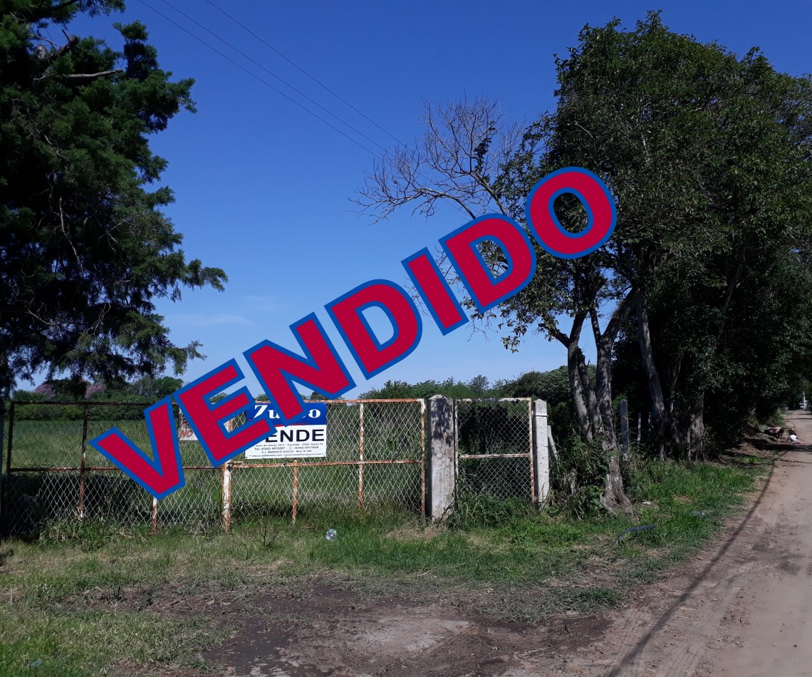 VENTA: CAMPO/QUINTA EN CORONDA - Ref. 431