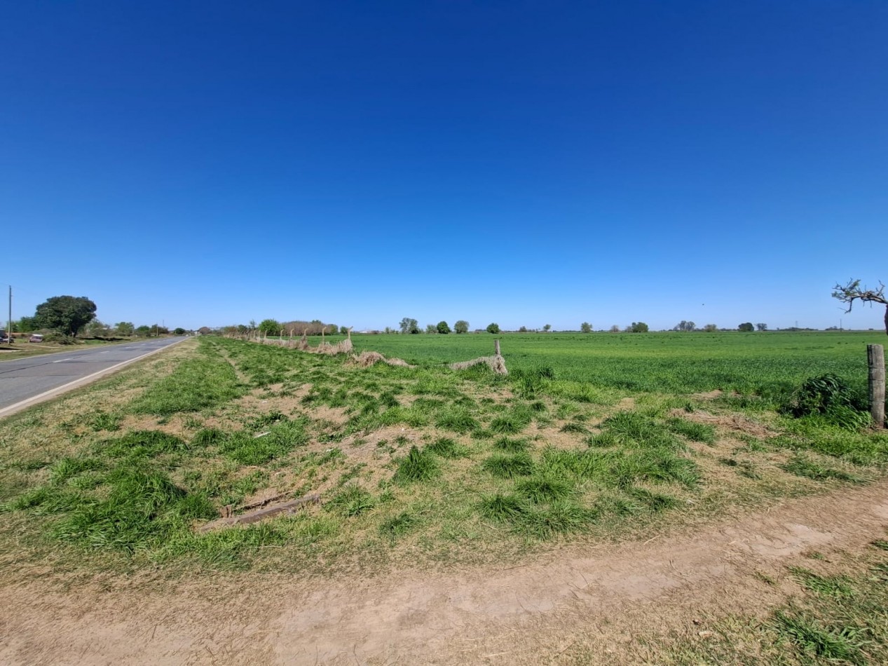 VENTA - CAMPO 8,3 HA. EN BARRANCAS - REF. 199 