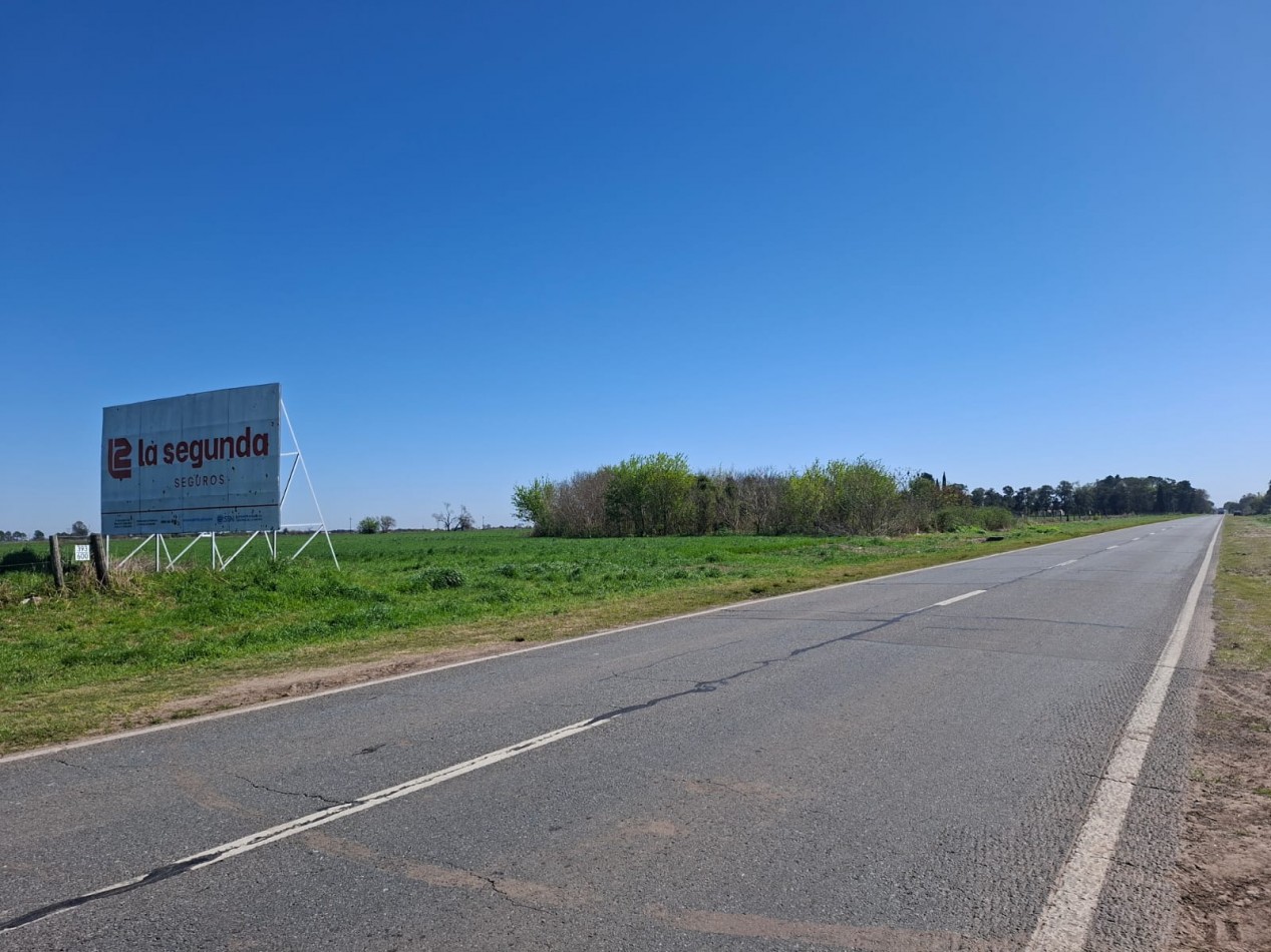 VENTA - CAMPO 8,3 HA. EN BARRANCAS - REF. 199 