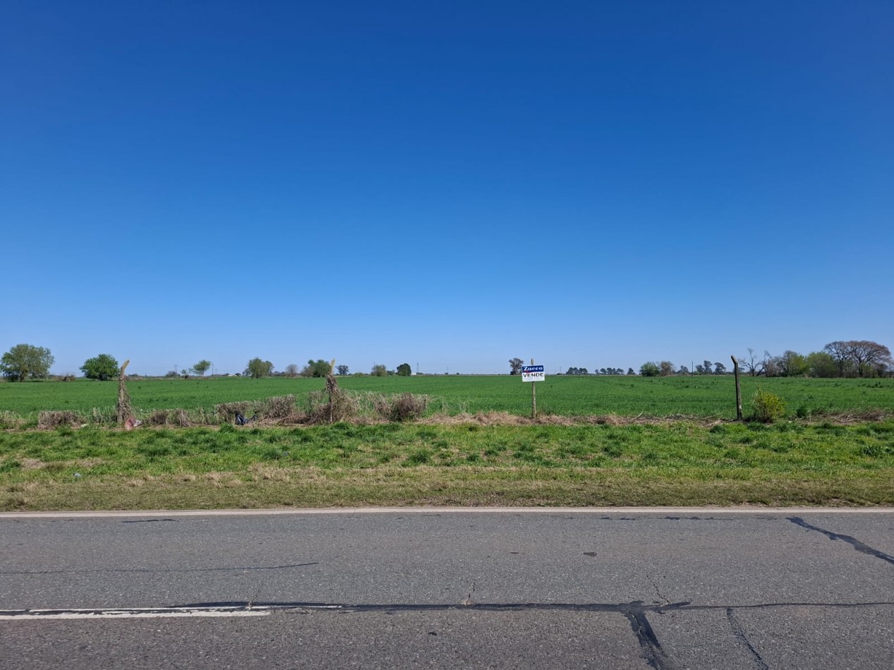 VENTA - CAMPO 8,3 HA. EN BARRANCAS - REF. 199 