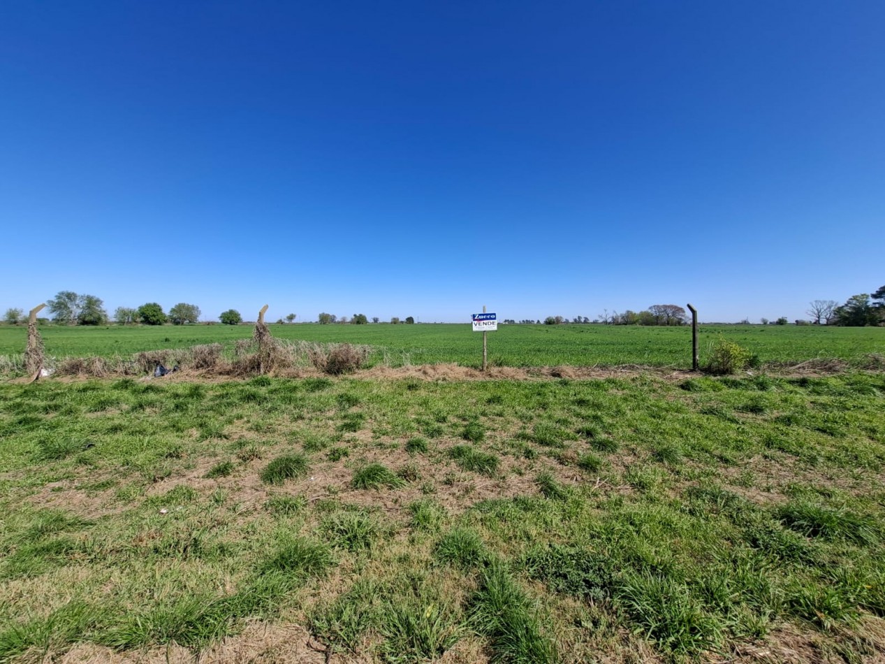 VENTA - CAMPO 8,3 HA. EN BARRANCAS - REF. 199 