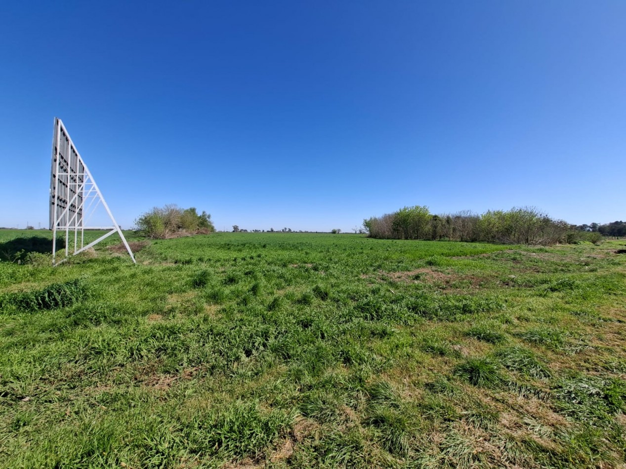 VENTA - CAMPO 8,3 HA. EN BARRANCAS - REF. 199 