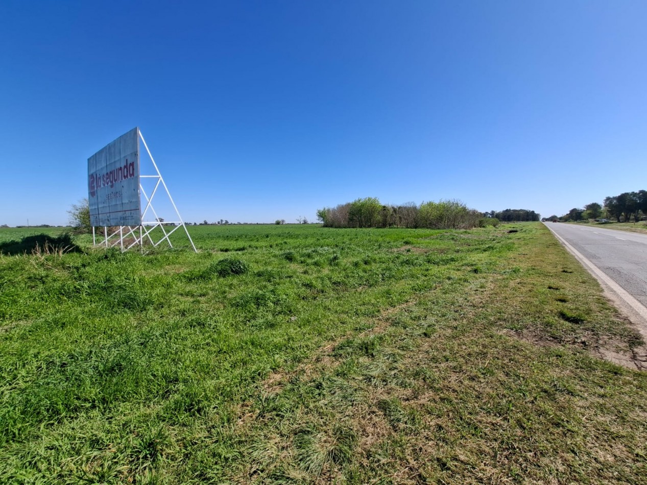 VENTA - CAMPO 8,3 HA. EN BARRANCAS - REF. 199 