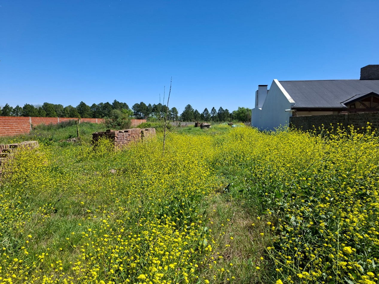 Ref. No 1321 VENTA TERRENO SOBRE RUTA 11 - CORONDA