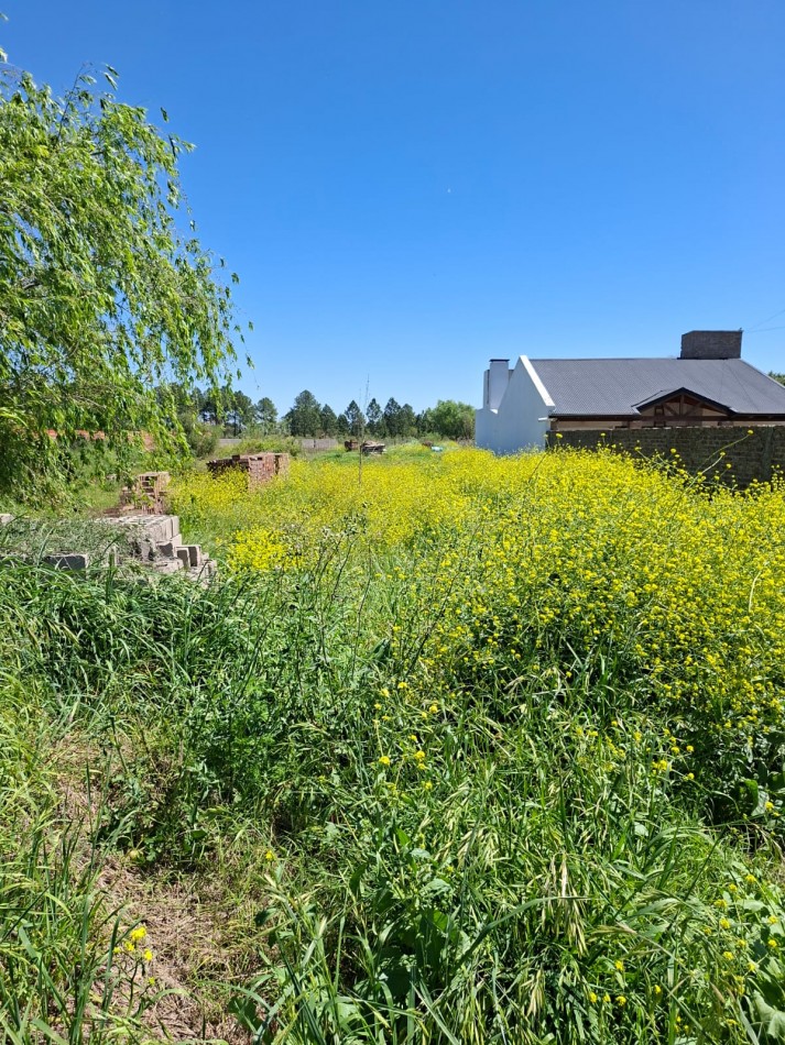 Ref. No 1321 VENTA TERRENO SOBRE RUTA 11 - CORONDA