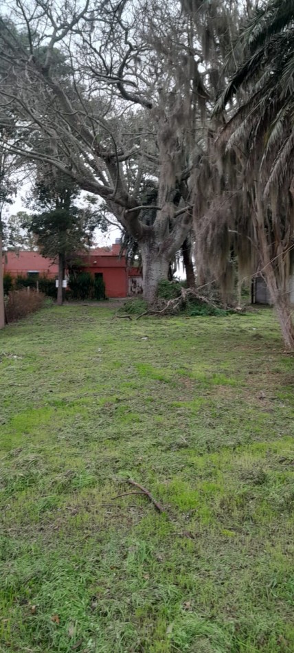 Ref. No 1306- Venta de Lote en Barrio Basualdo