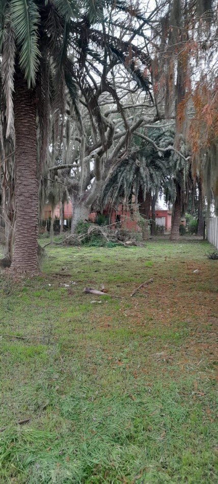 Ref. No 1306- Venta de Lote en Barrio Basualdo