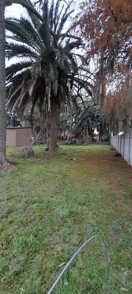 Ref. No 1306- Venta de Lote en Barrio Basualdo