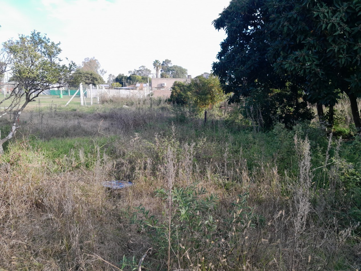 Venta de Lotes en Larrechea - Ref. No 1295