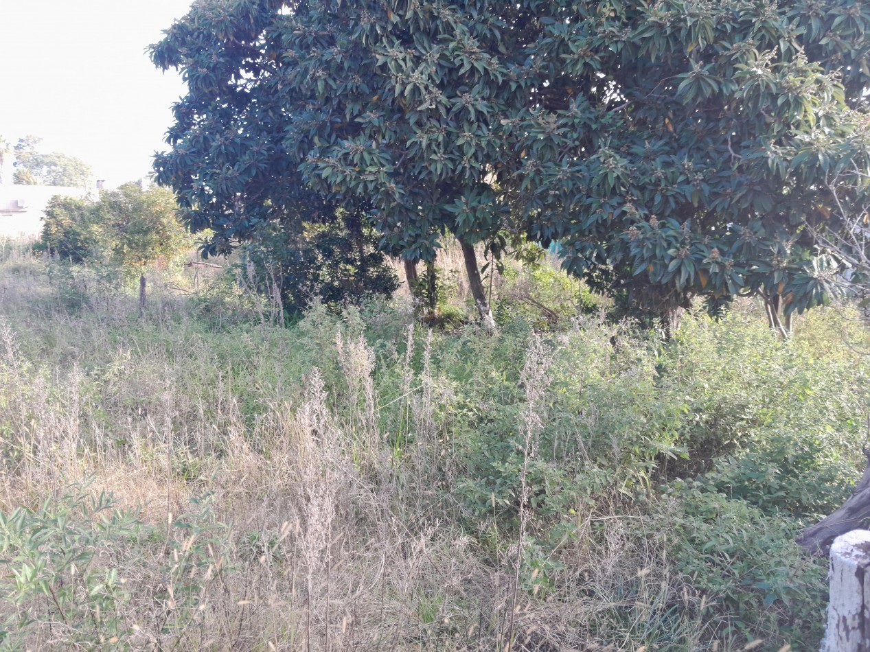 Venta de Lotes en Larrechea - Ref. No 1295