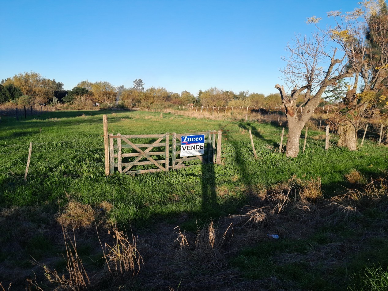 Lote sobre la ruta 11-  Ref. No 1294