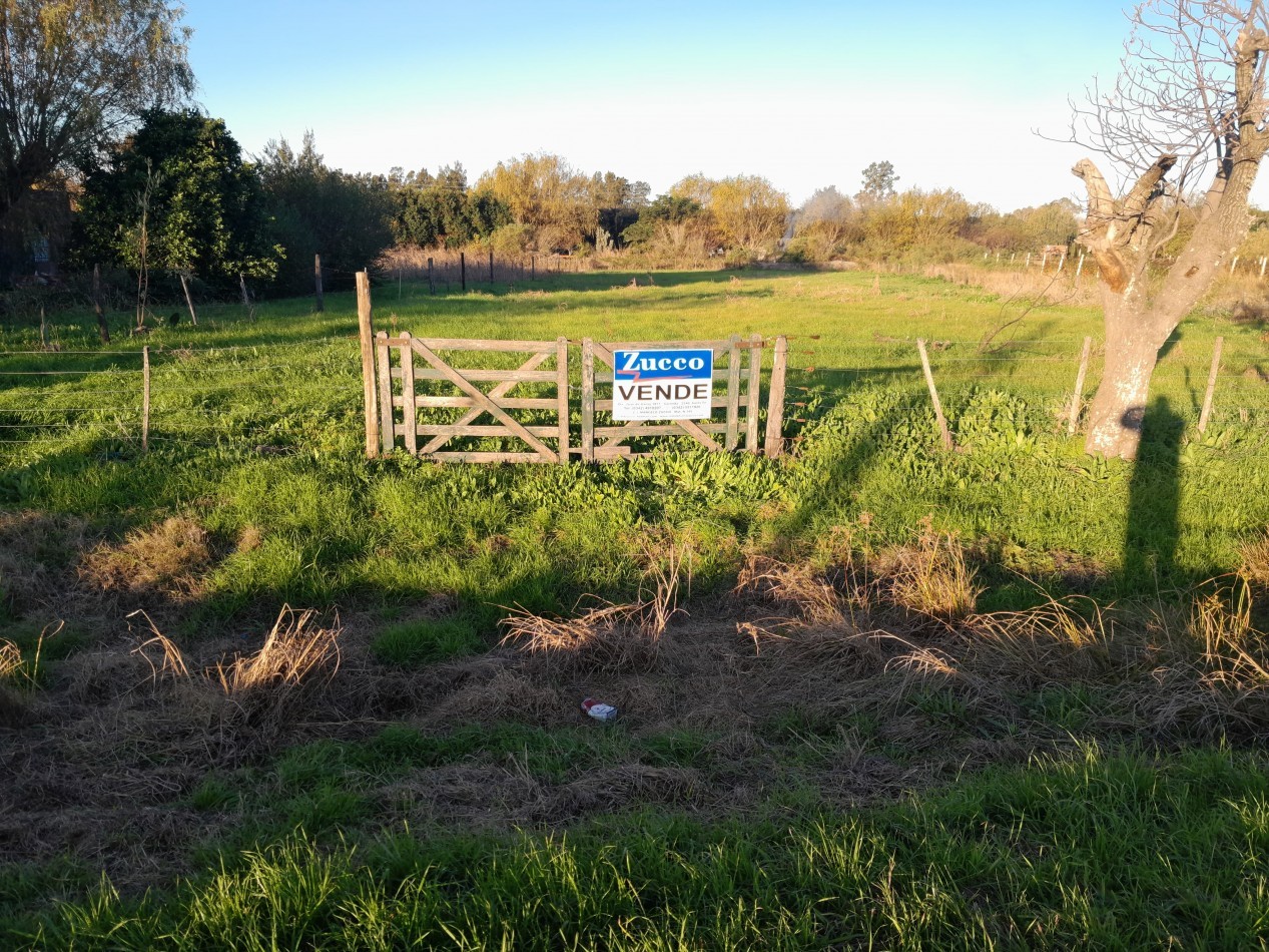 Lote sobre la ruta 11-  Ref. No 1294