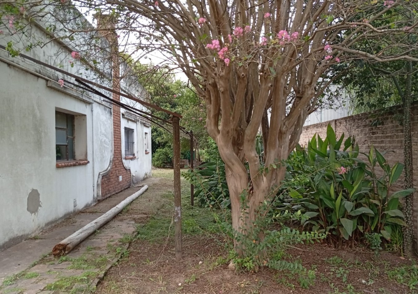 Ref. No 1364- CASA EN VENTA CON MUCHO TERRENO