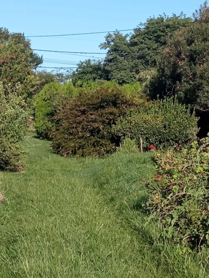 Oportunidad inversores!!!- Venta Casa con gran terreno