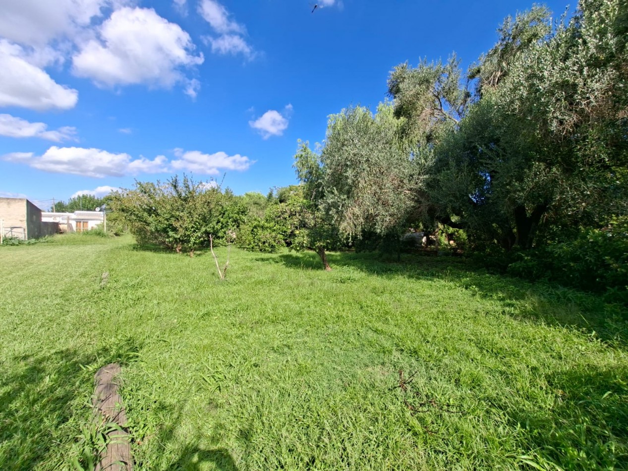 Oportunidad inversores!!!- Venta Casa con gran terreno