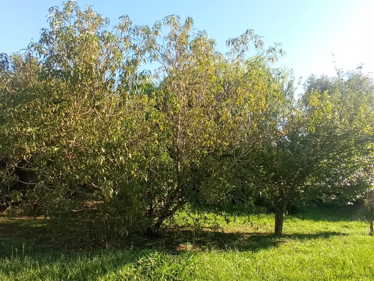 Oportunidad inversores!!!- Venta Casa con gran terreno