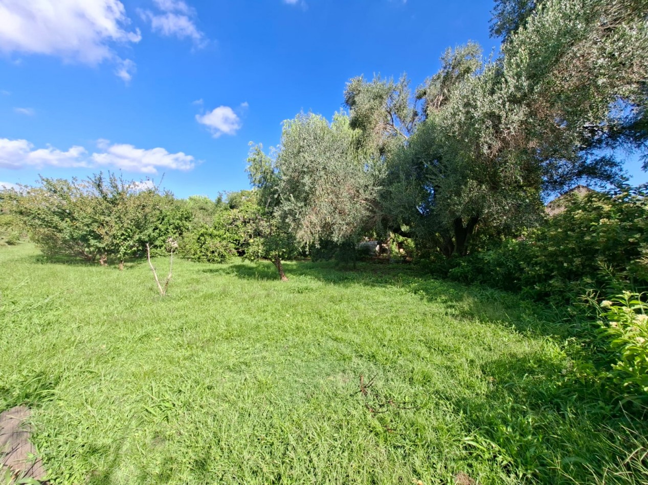 Oportunidad inversores!!!- Venta Casa con gran terreno