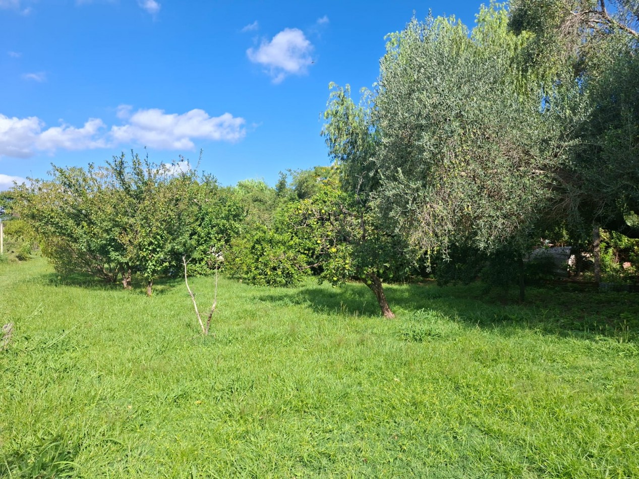 Oportunidad inversores!!!- Venta Casa con gran terreno