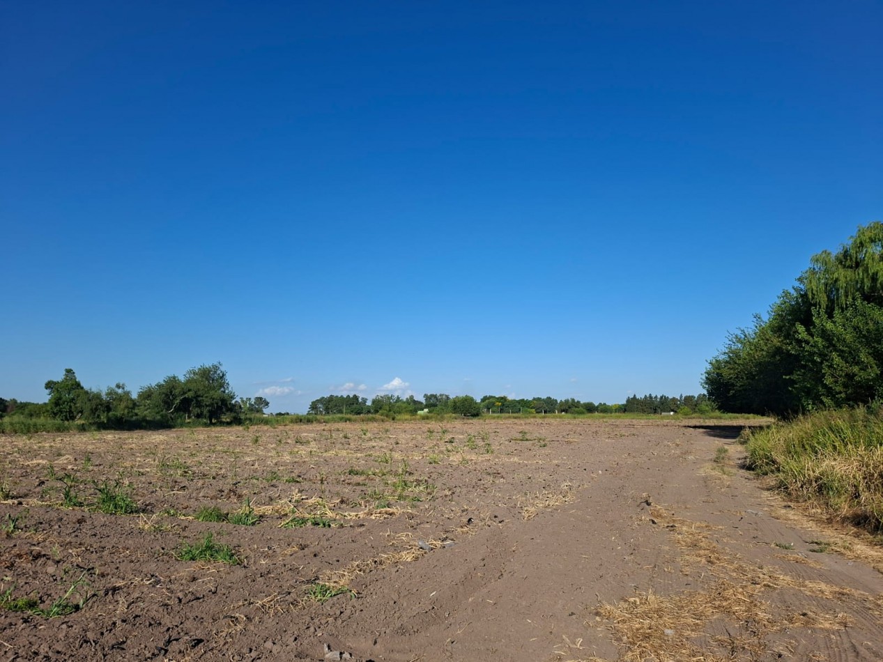 Ref. 1352 - Venta de lote 5,7 ha. con casa - Zona urbana Coronda.