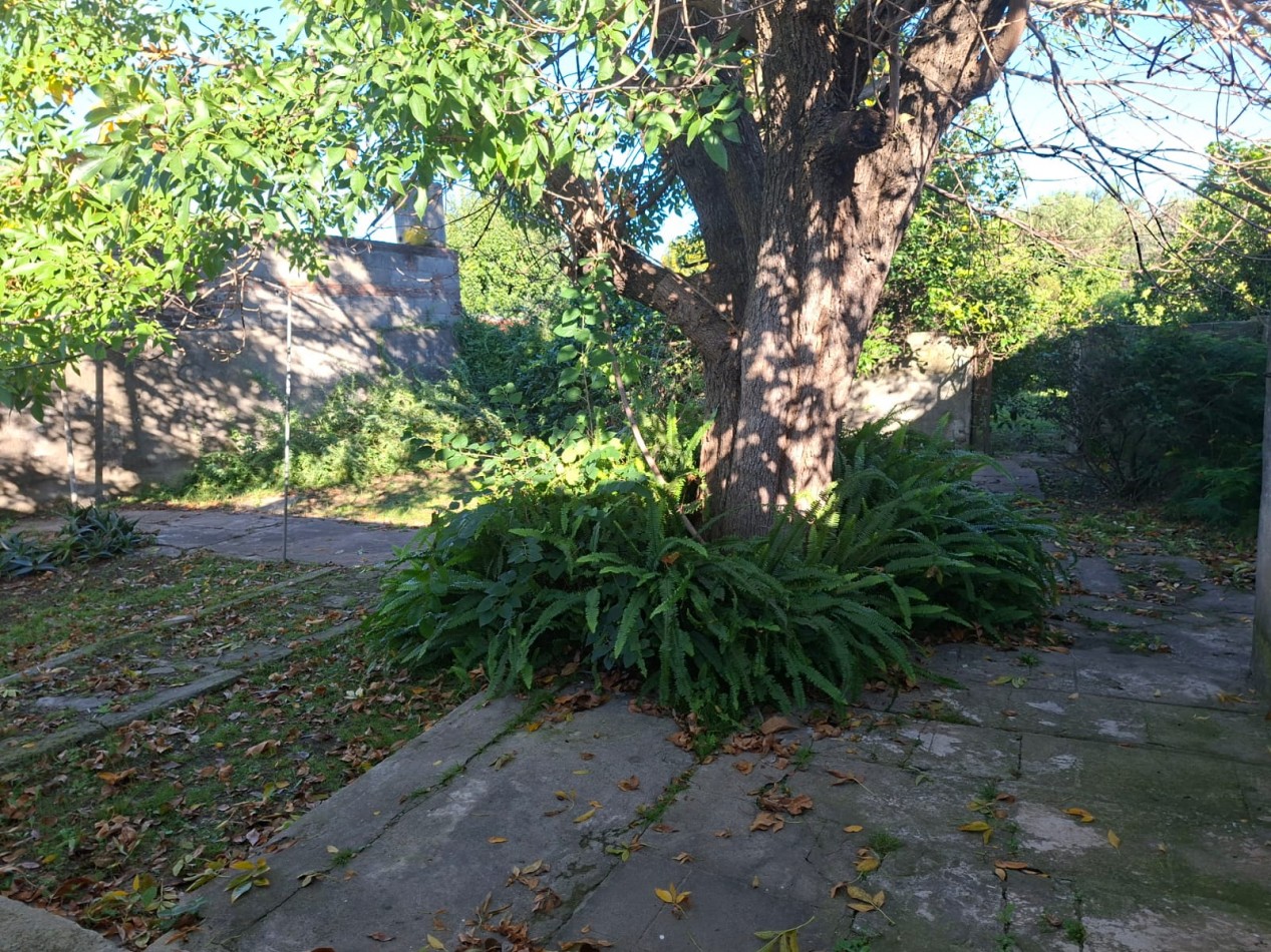 Ref. No 1336. VENTA INMUEBLE CORONDA
