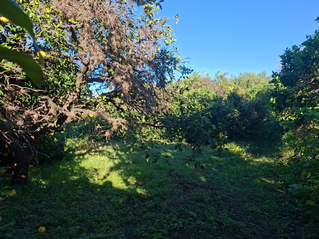 Ref. No 1336. VENTA INMUEBLE CORONDA