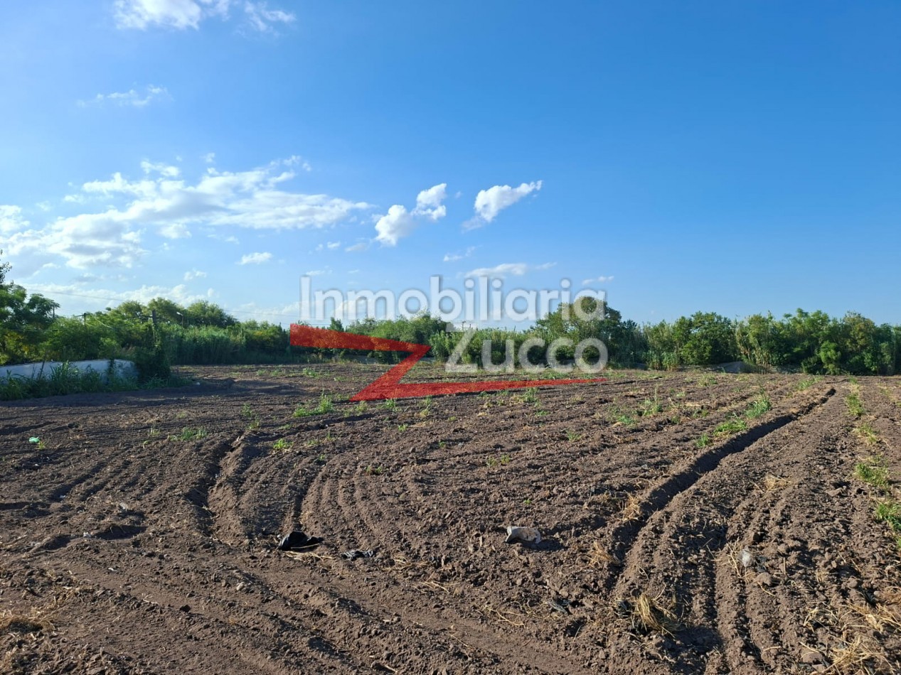 EN ALQUILER: QUINTA DE 5 HA. EN CORONDA - Ref. 352