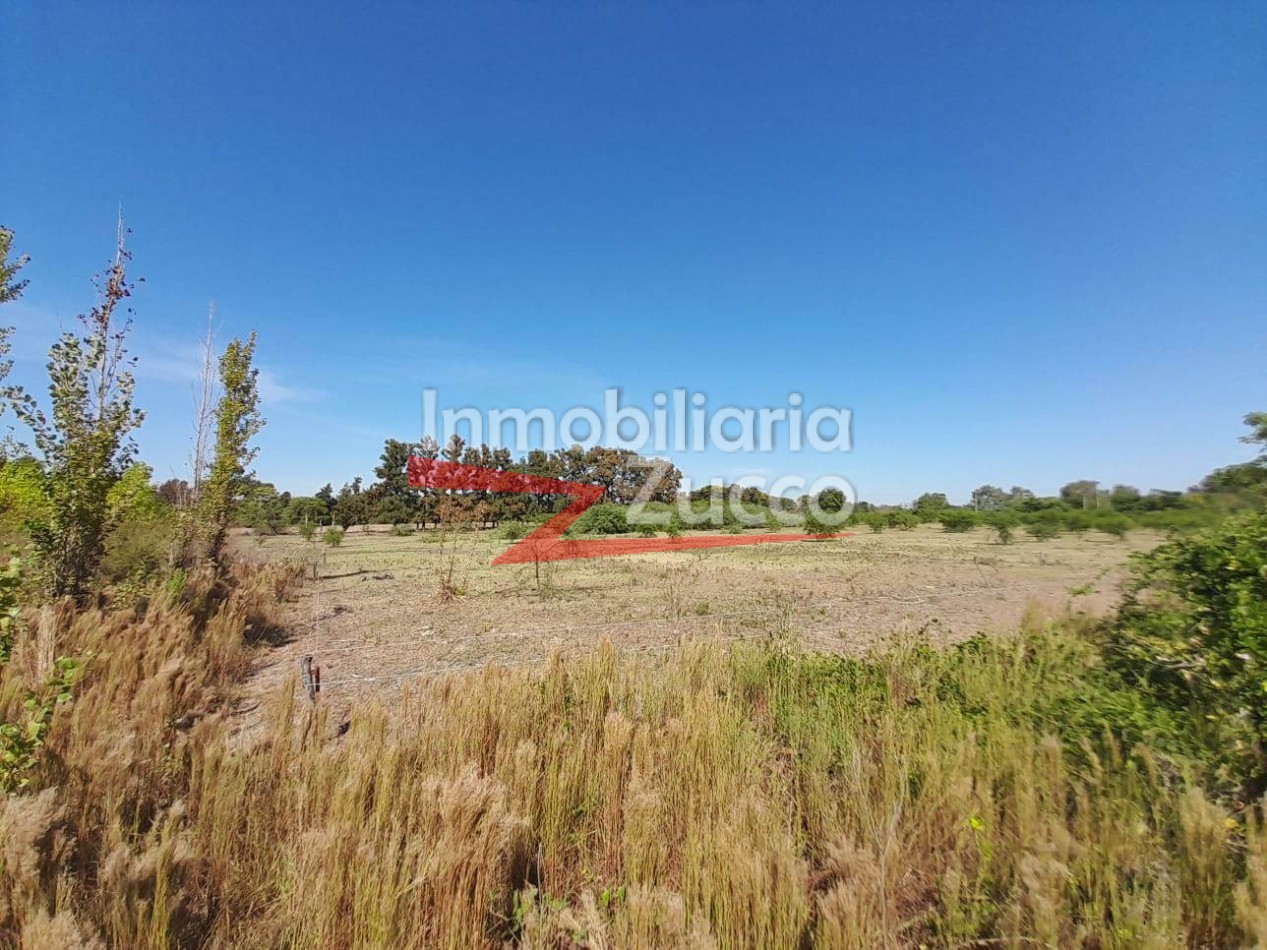 VENTA: 1,5 Ha. CON CASA A RECICLAR, DESVIO ARIJON - Ref. 1272
