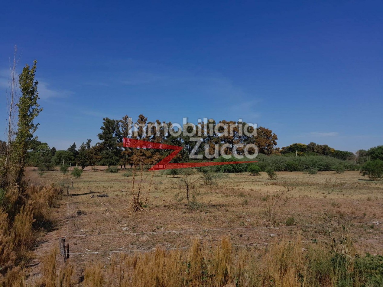 VENTA: 1,5 Ha. CON CASA A RECICLAR, DESVIO ARIJON - Ref. 1272