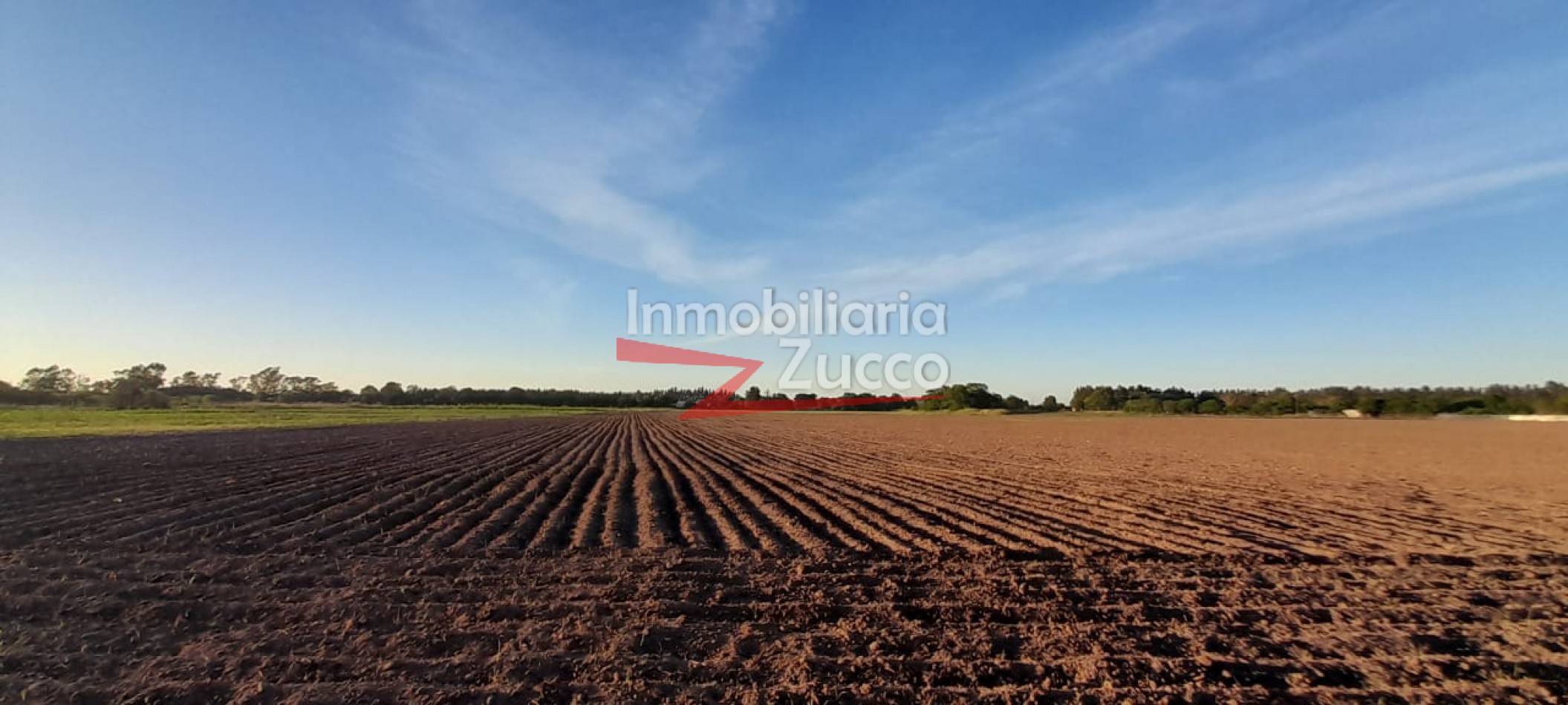 VENTA:  9 Ha. de campo en Coronda - Ref. 720