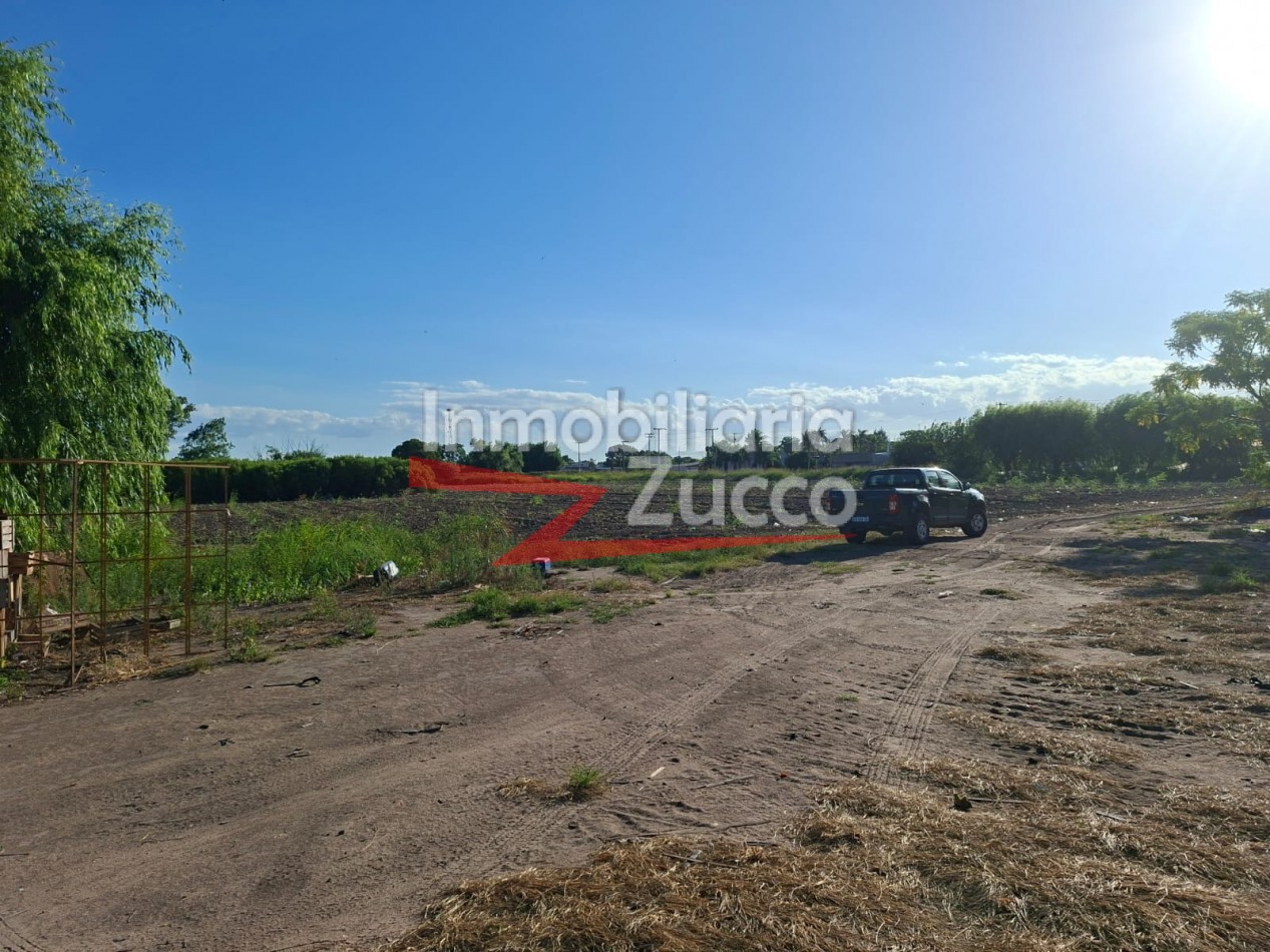 EN ALQUILER: QUINTA DE 5 HA. EN CORONDA - Ref. 352