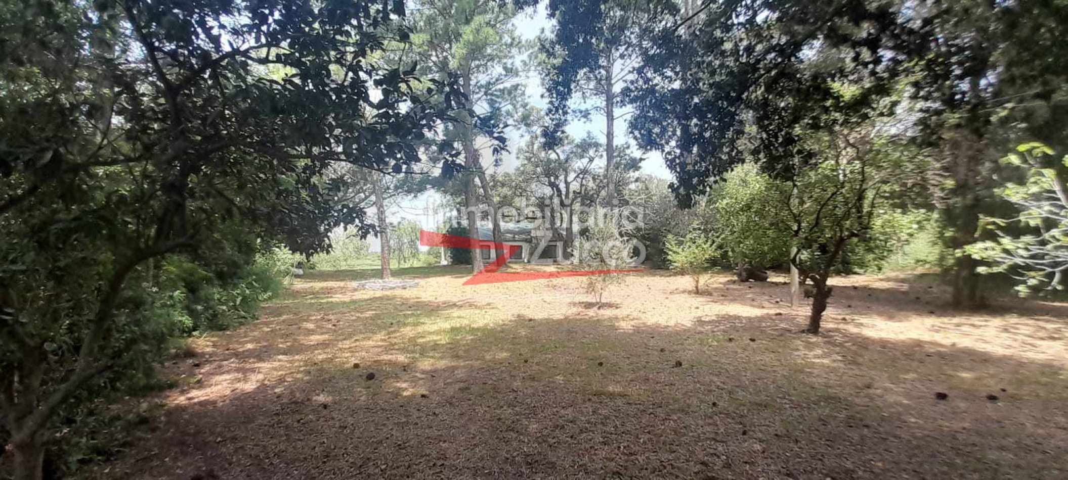 VENTA:DOS CABAÑAS SOBRE EL RIO EN DESVIO ARIJON - Ref. 1148