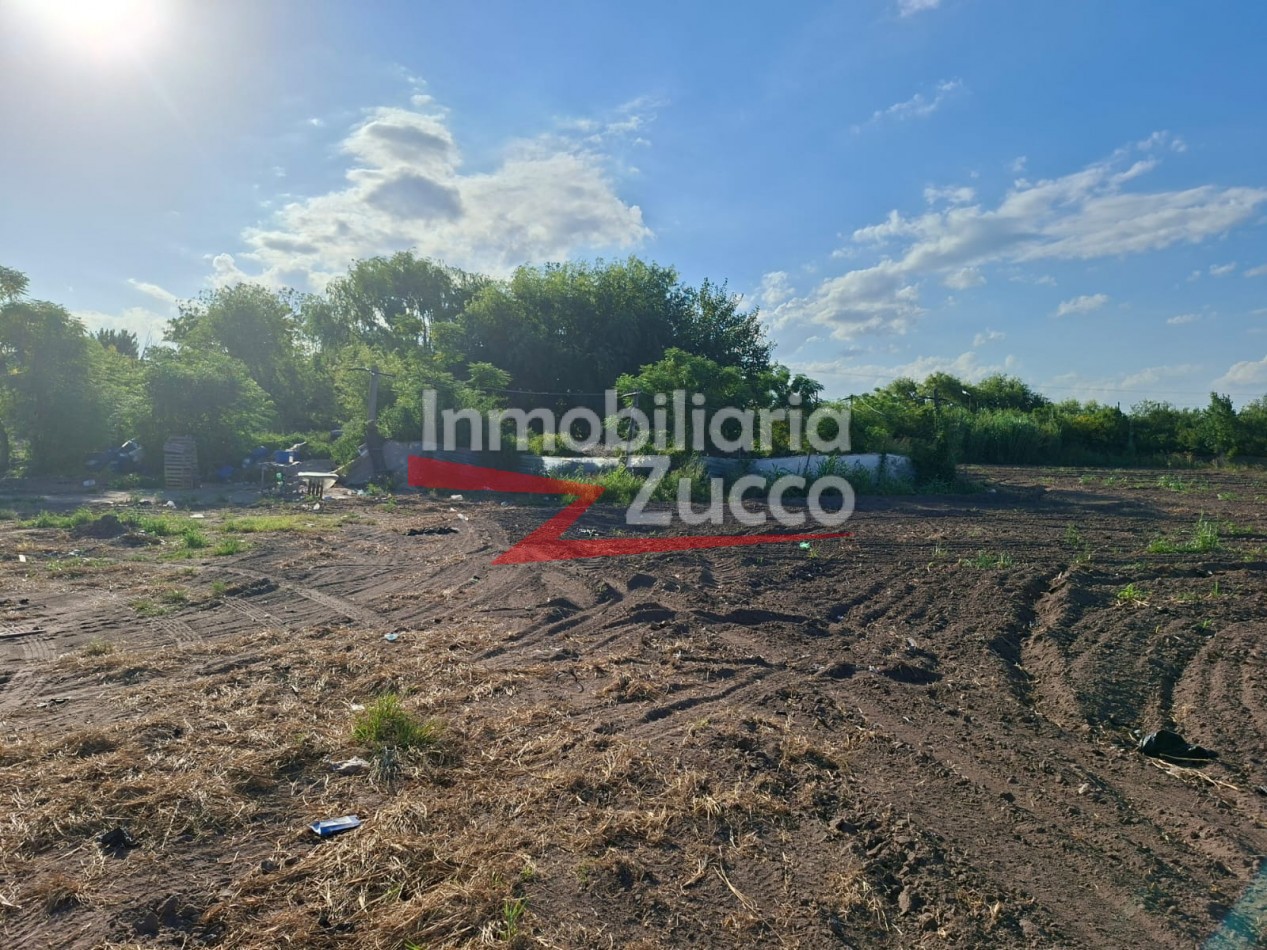 EN ALQUILER: QUINTA DE 5 HA. EN CORONDA - Ref. 352