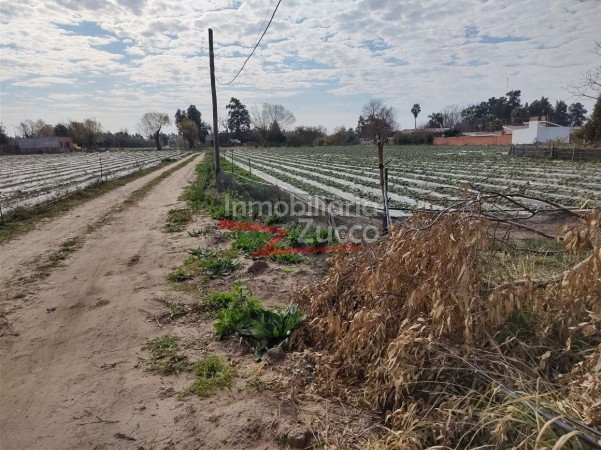VENTA: QUINTA EN CORONDA - Ref. 771