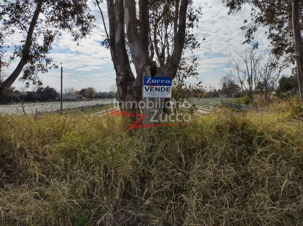 VENTA: QUINTA EN CORONDA - Ref. 771