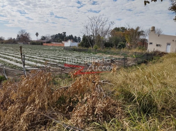 VENTA: QUINTA EN CORONDA - Ref. 771