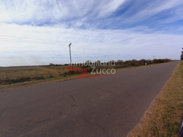 CAMPO 4,2 HA. EN VENTA EN CORONDA - Ref. 801