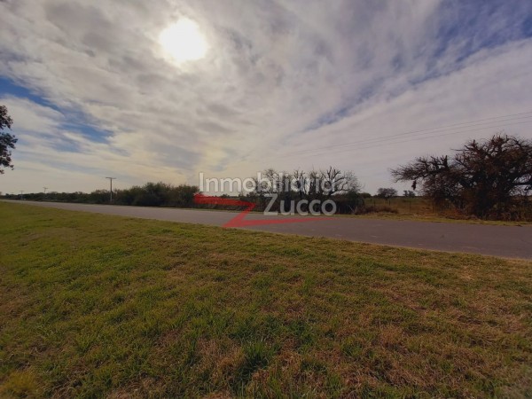 CAMPO 4,2 HA. EN VENTA EN CORONDA - Ref. 801