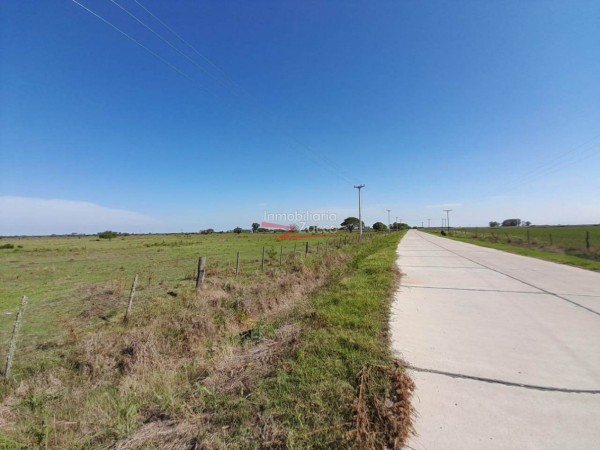 VENTA: 7 Ha. DE CAMPO SOBRE ASFALTO EN CORONDA - Ref. 1015