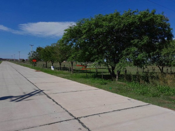 VENTA: 7 Ha. DE CAMPO SOBRE ASFALTO EN CORONDA - Ref. 1015